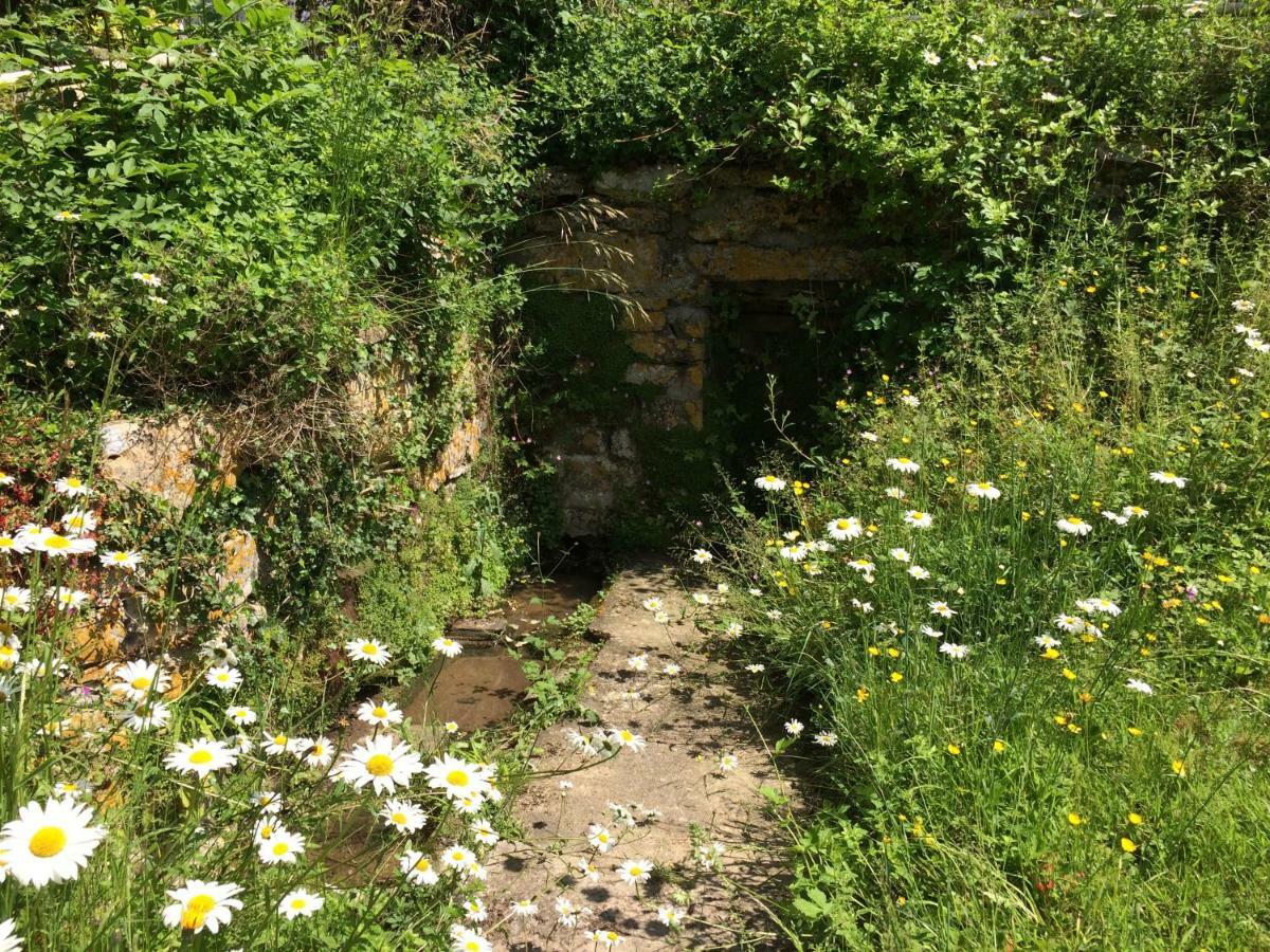 Yew Tree Cottage Bath Buitenkant foto